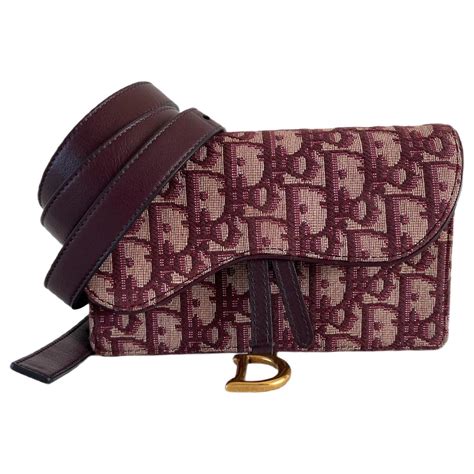 ceinture banane dior|sacs dior mini.